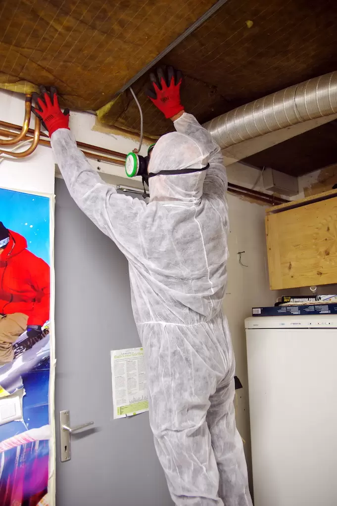 Reasons to Get Asbestos Home Inspection