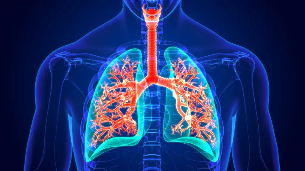 Three Tips: Understanding Asbestos Exposure's Long-term Health Effects
