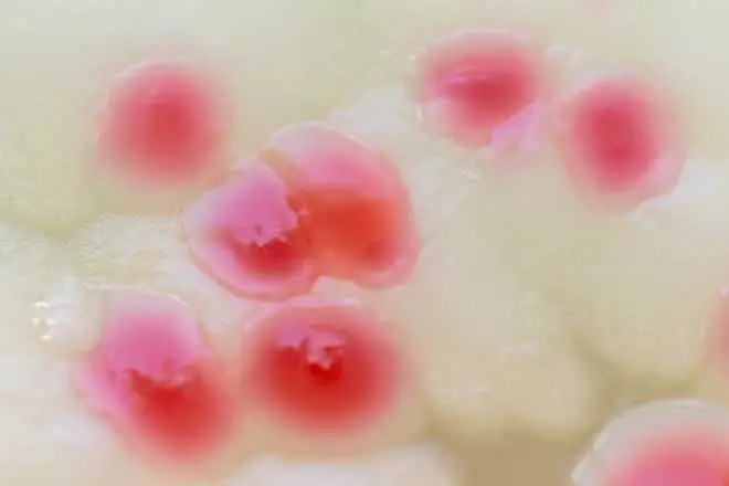 pink mold