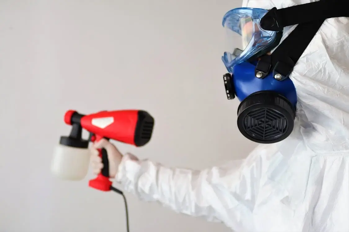 what kills mold