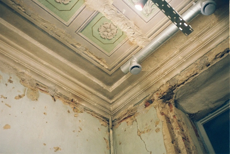 brown-mold-in-ceiling