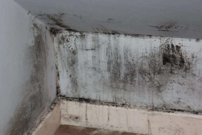 mold in basement